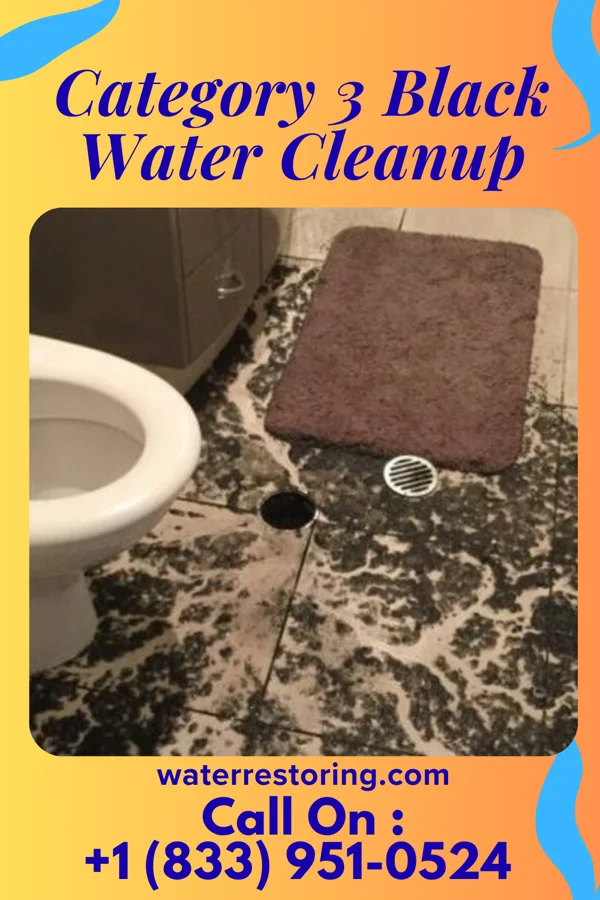 Category 3 Black Water Cleanup in Bowen, IL