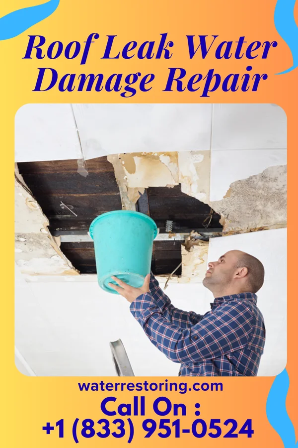 Roof Leak Water Damage Repair in Bowen, IL